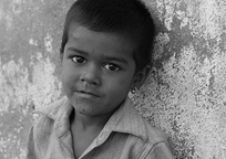 专业办公版的ddos网页端源码